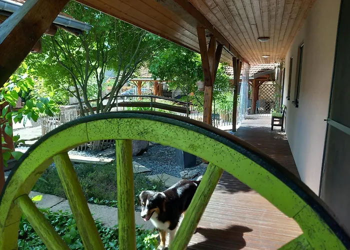 Hagebuche Brouviller